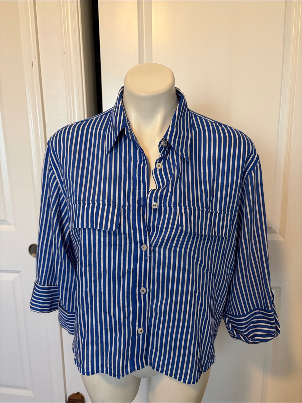 Zara Blue and White Vertical Stripe Women's Button-Front Blouse